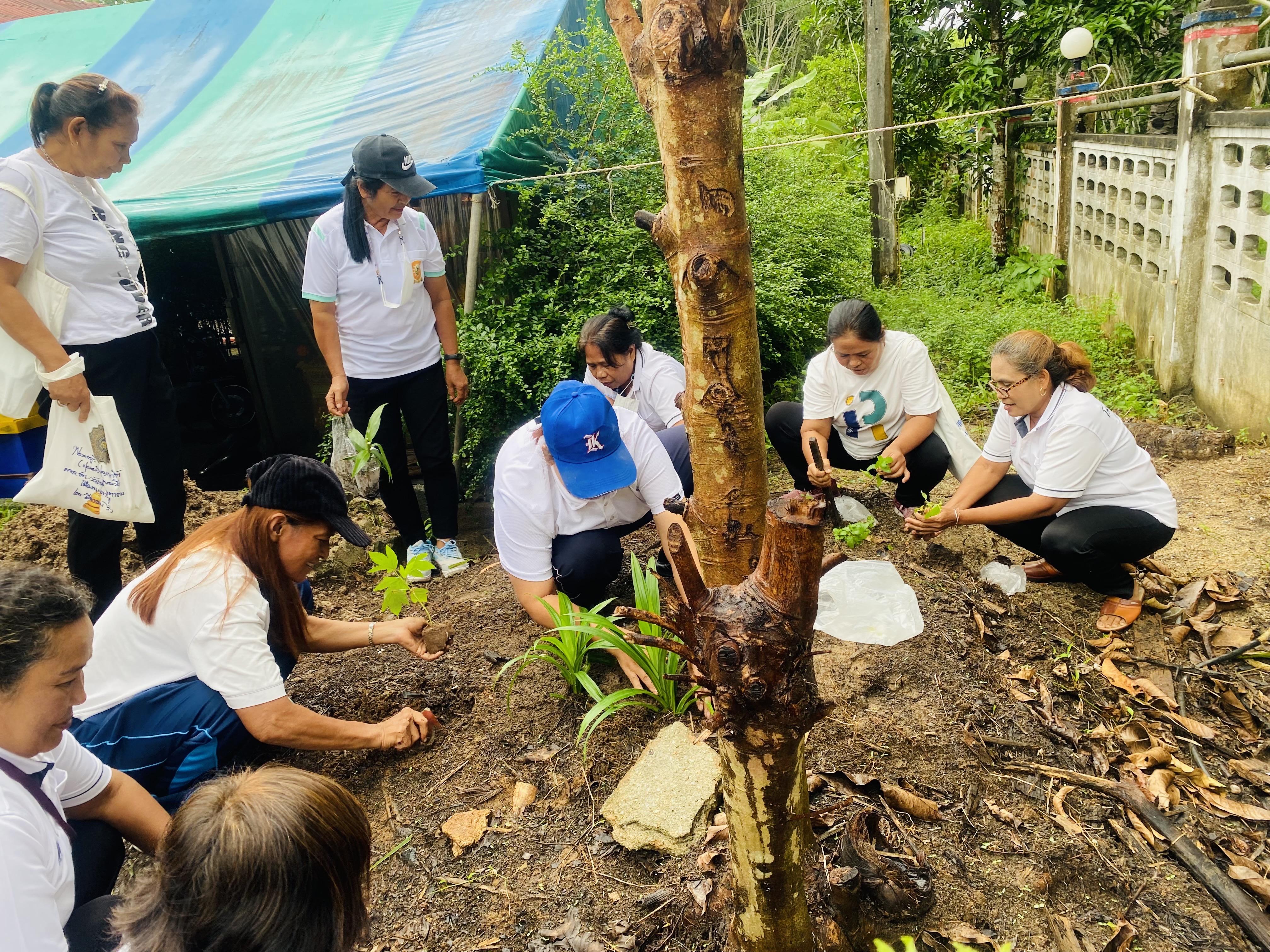 การดำเนินกิจกรรมโครงการ 1 อปท. 1 สวนสมุนไพร เฉลิมพระเกียรติพระบาทสมเด็จพระเจ้าอยู่หัว เนื่องในโอกาสพระราชพิธีมหามงคลเฉลิมพระชนมพรรษา 28 กรกฎาคม