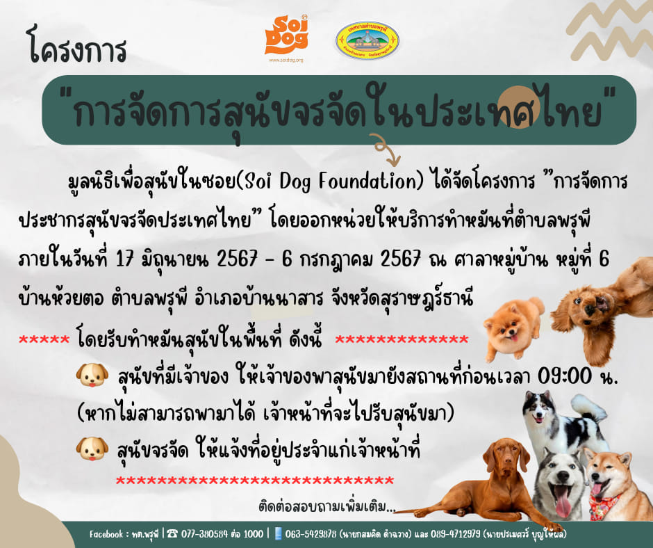 ขอประชาสัมพันธ์... #โครงการการจัดการสุนัขจรจัดในประเทศไทย
ด้วยมูลนิธิเพื่อสุนัขในซอย (Soi Dog Foundation) ได้จัดโครงการ การจัดการประชากรสุนัขจรจัดประเทศไทย” โดยออกหน่วยที่ตำบลพรุพี  ในวันที่ 17 มิถุนายน 2567 - 6 กรกฎาคม 2567  ณ  ศาลาหมู่บ้าน หมู่ที่ 6 บ้านห้วยตอ ตำบลพรุพี อำเภอบ้านนาสาร จังหวัดสุราษฎร์ธานี
โดยรับทำหมันในพื้นที่ ดังนี้
- สุนัขที่มีเจ้าของ ให้เจ้าของพาสุนัขมายังสถานที่ดังกล่าวก่อนเวลา 09  00 น. (หากไม่สามารถพามาได้ เจ้าหน้าที่จะไปรับสุนัขมา)
- สุนัขจรจัด ให้แจ้งที่อยู่ประจำแก่เจ้าหน้าที่
เทศบาลตำบลพรุพี จึงขอประชาสัมพันธ์ให้ประชาชนที่สนใจเข้าร่วม โครงการ การจัดการสุนัขจรจัดในประเทศไทย พาสุนัขที่มีเจ้าของ หรือไม่มีเจ้าของมาทำหมันได้ตามวัน เวลา และสถานที่ที่ระบุไว้ข้างต้น