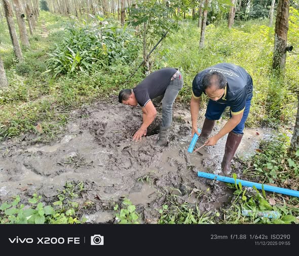 วันพฤหัสบดีที่ 11 ธันวาคม พ.ศ. 2568  นายศิริชัย  บุญศรี  ผอ.กองช่าง มอบหมายให้พนักงานผลิตน้ำประปาออกพื้นที่ซ่อมท่อเมนประปา หมู่ที่ 5 ซ.ปลากัด และหมู่ที่ 5 ซ.เกาะแก้ว สายหลังปั้ม ปตท. , แก้ไขสายปั้มน้ำบาดาลระบบประปา หมู่ที่ 1 บ้านกำนันนิยม