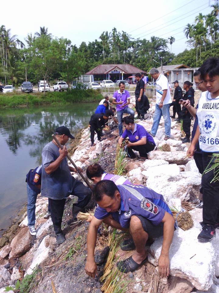 โครงการส่งเสริมการปลูกหญ้าแฝก<br>ตามแนวพระราชดำริ ฝายคลองพรง หมู่ที่ 2