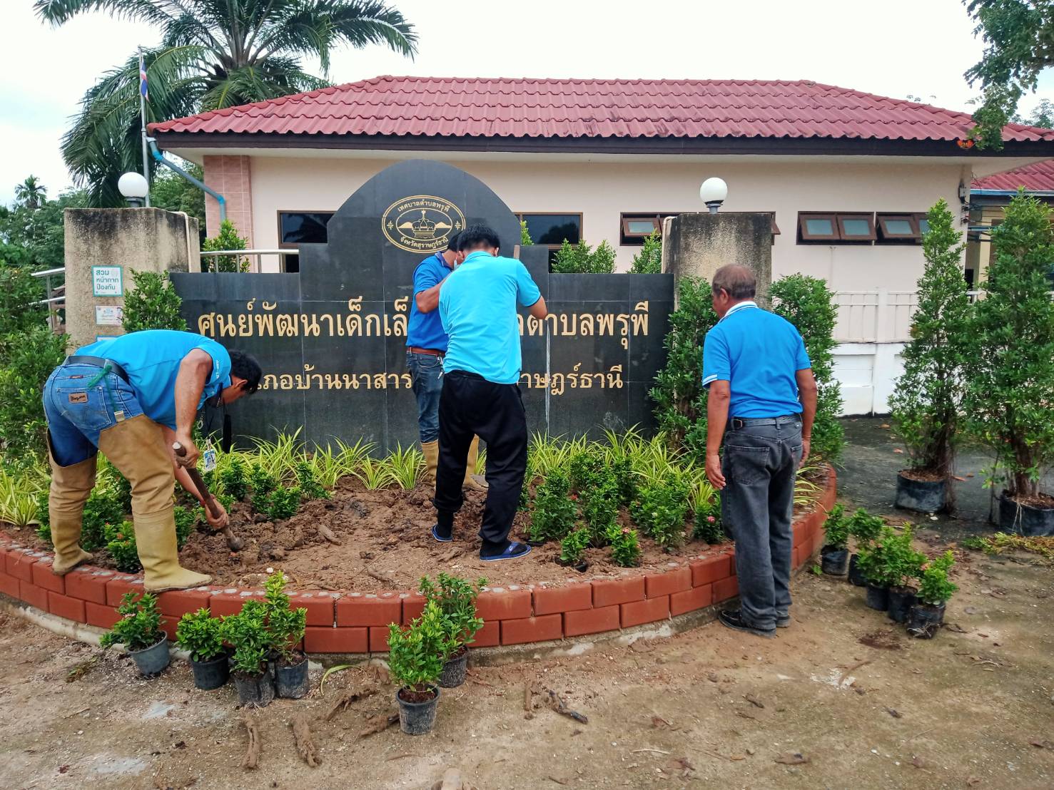 นายกเทศมนตรีร่วมกับพนังงาน ปรับภูมิทัศน์ภายในเทศบาลตำบลพรุพี