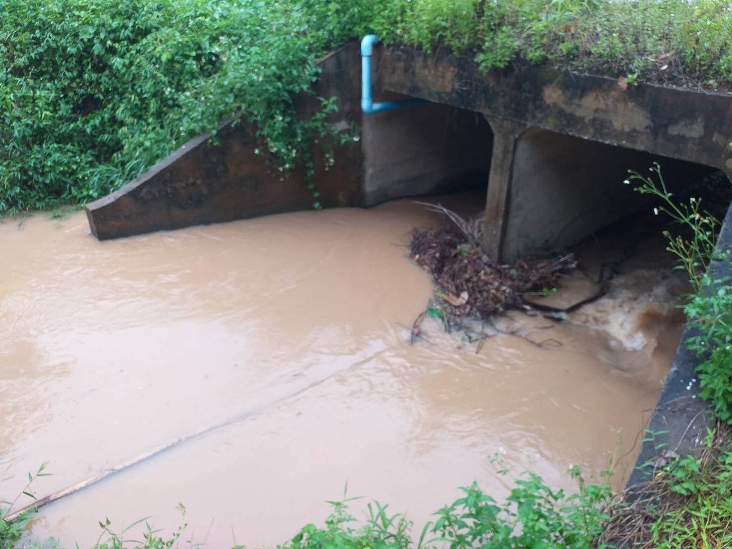 กำจัดวัชพืช เปิดทางระบายน้ำ เนื่องจากฝนตกติดต่อกันหลายวัน